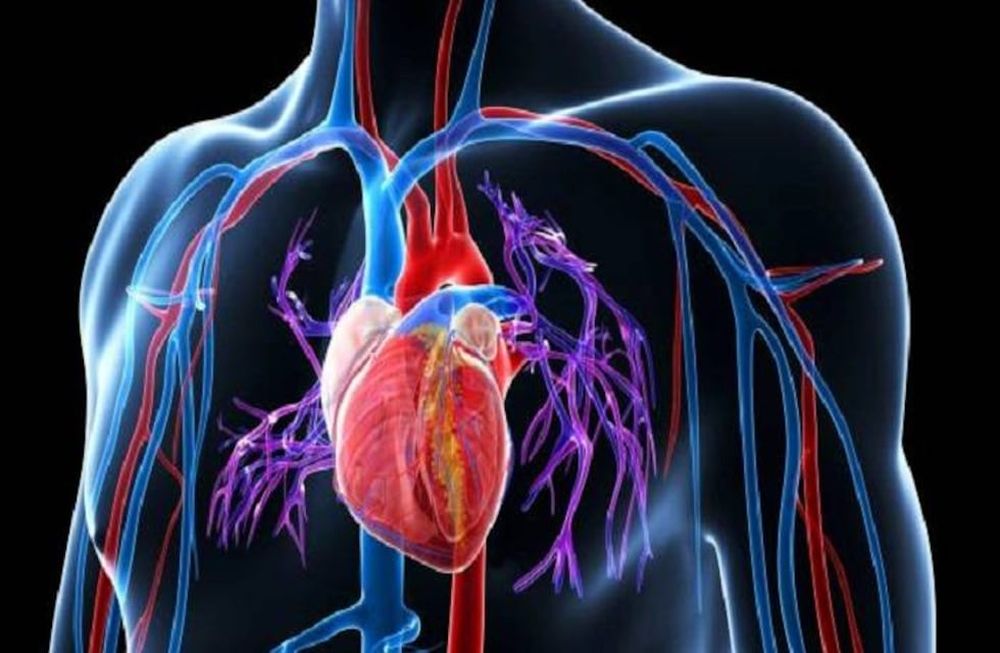 Hipertensión Pulmonar, una enfermedad rara y mortal