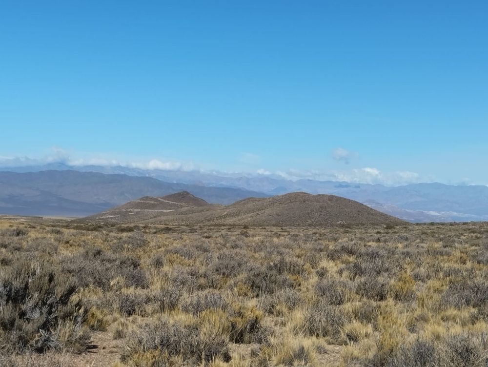 Qué significa PSJ Cobre Mendocino para el desarrollo de Mendoza, según la mirada empresaria