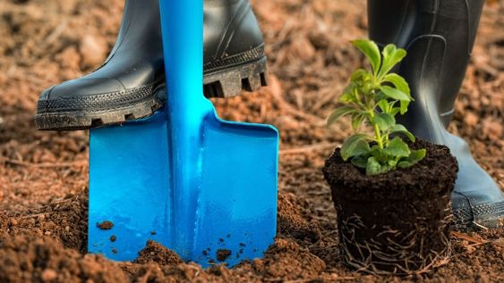 Primavera: 5 trucos para renovar tu jardín