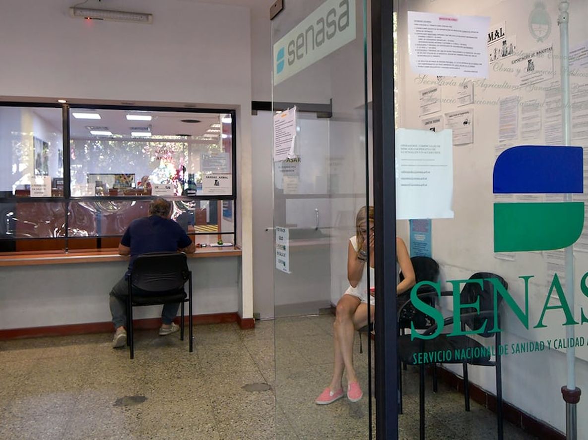 Debido al paro, no se producirán las exportaciones entre el lunes 29 y el miércoles 1 de mayo. Foto: Orlando Pelichotti