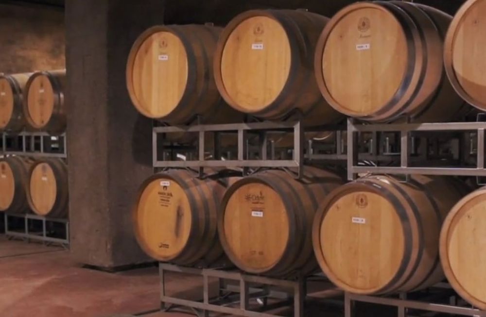 Desde su casco histórico de finales del siglo XIX, la bodega ha pasado de producir vino a granel a enfocarse en la elaboración de vinos de alta gama.