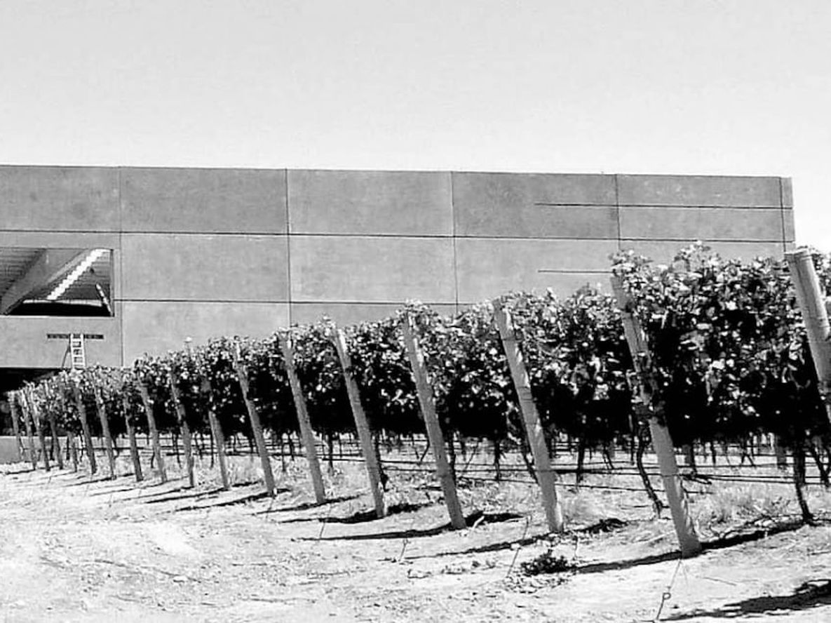 El verbo añejar está referido al vino o a las comestibles cuando toman el valor de “alterarse con el transcurso del tiempo, ya mejorándose, ya deteriorándose”.