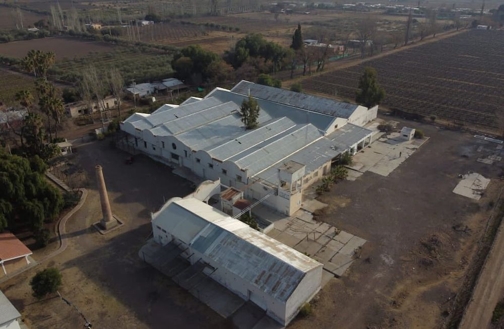 La bodega está ubicada en Algarrobo Grande, Junín. - Gentileza