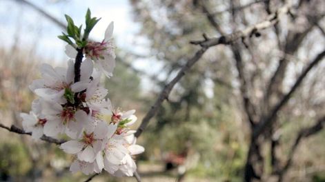 Qué temperaturas y cantidad de lluvias se puede esperar esta primavera