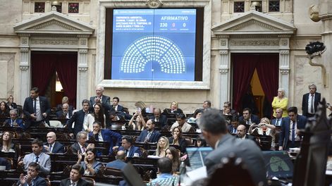 Con 230 votos afirmativos, 0 negativos y 0 abstenciones, se da media sanción a la declaración de Emergencia en zonas afectadas por el temporal en Bahía Blanca y toda la región.