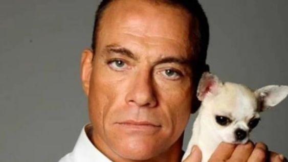 Todo un héroe: Jean-Claude Van Damme rescató a una perrita chihuahua