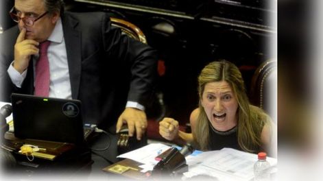 División no es lo mismo que grieta - Por Carlos Salvador La Rosa