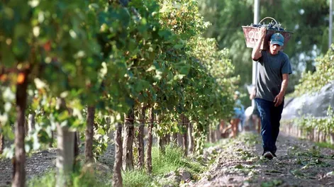 Arrancó la paritaria vitivinícola: cuál fue el pedido de Foeva&nbsp;