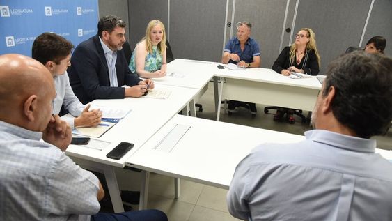 La oposición pide en el Senado la conformación de la Comisión Bicameral de Seguridad y se discutirá el lunes en la reunión de la Labor Parlamentaria. Foto: Prensa Senado.