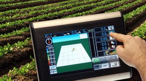 Tecnología aplicada a viñedos y frutales