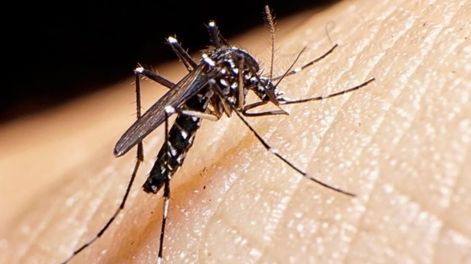 Los Andes | XWRD3Y2HH5D2NN7EHB347URU5A.png?quality=75&smart=true&auth=2d699c4627580710e222e2338535426bde5238910ddabea15c0fd846a3738e51&width=980&height=640