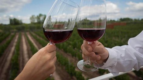 En tienda Los Andes hay más de 1.500 productos para vivir vendimia.