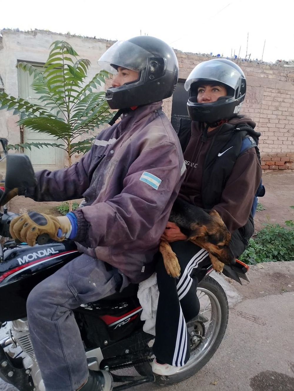 Natanael fue herido en un intento de asalto cuando limpiaba el espacio donde su familia aloja perros callejeros.