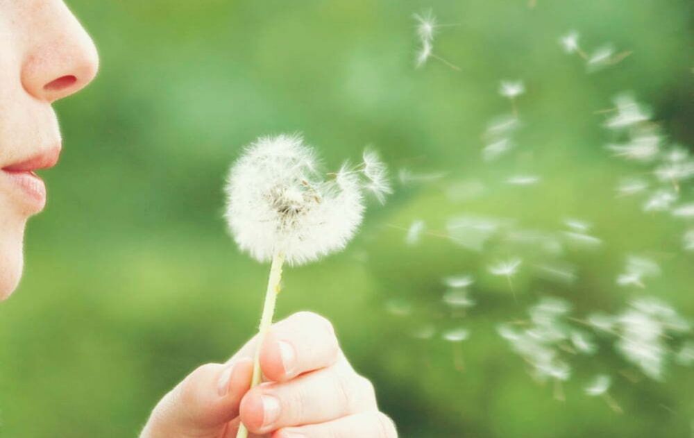 Esta rutina sencilla fortalece la prevención diaria y mejora la calidad de vida cuando la alergia está latente.