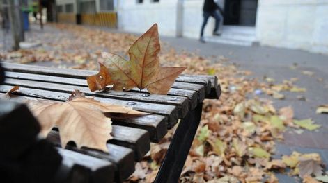 Llega el otoño 2026