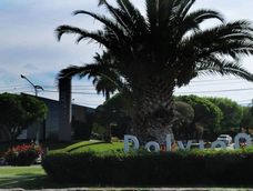 Aberrante: denuncian que un albañil violó a una perra en un barrio privado y quedó grabado en una cámara. Foto: Imagen ilustrativa (Archivo Los Andes)
