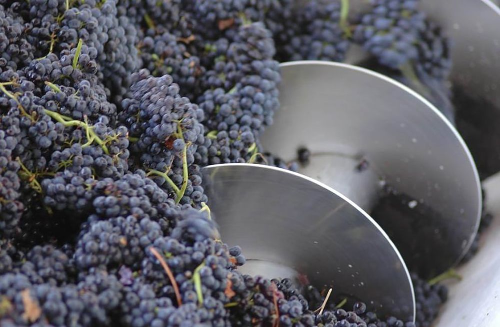 A través de Mendoza Fiduciaria se administrará la nueva operatoria de compra, que estará destinada para los productores que tienen hasta 30 hectáreas cultivadas.