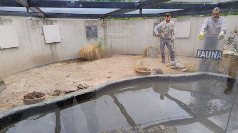 Los Andes | Se realizó el traslado de un yacaré y tortugas desde la Ciudad de Mendoza a Santa Fe