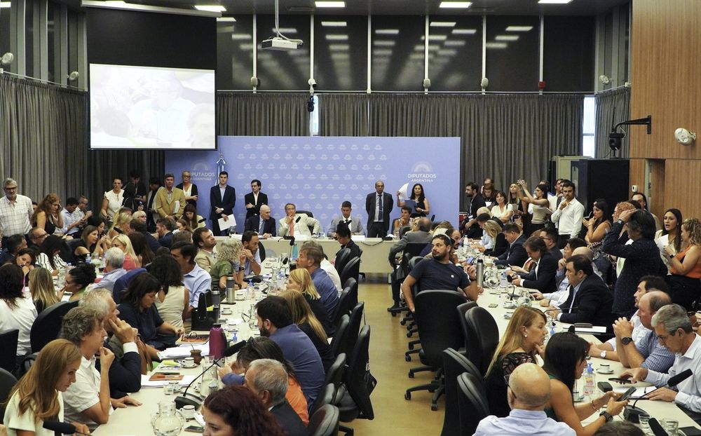 Diputados analizó la suspensión de las PASO. Foto: NA