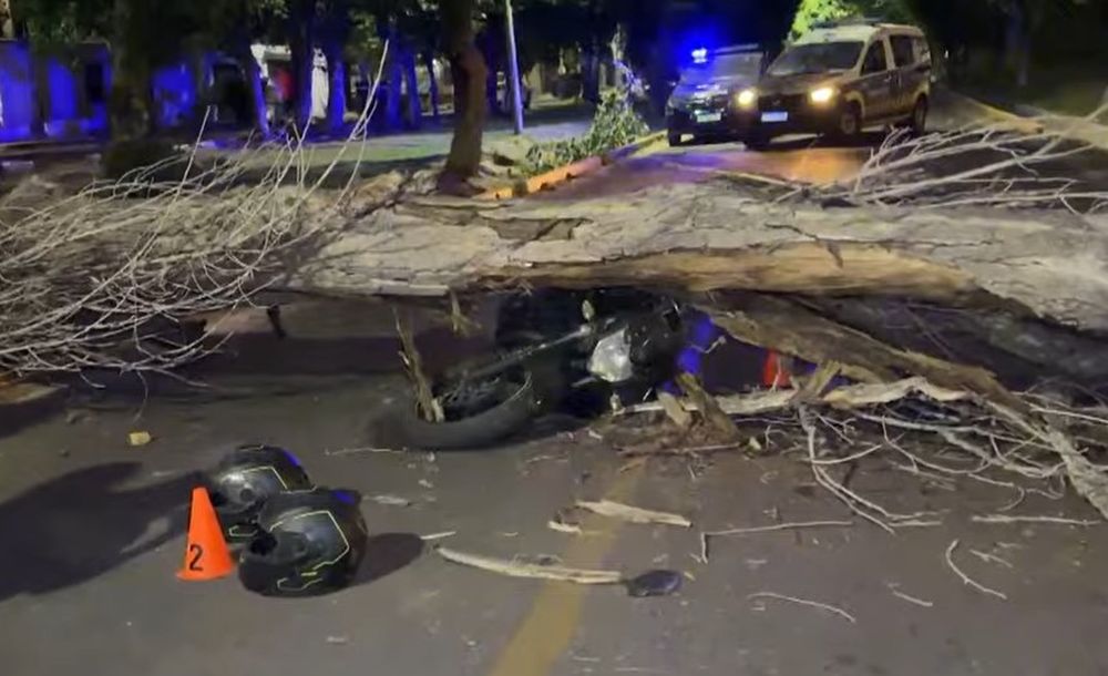Por el fuerte viento un &aacute;rbol cay&oacute; sobre una moto que circulaba en Guaymall&eacute;n y dej&oacute; dos heridos leves.