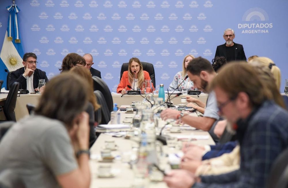 La Comisión de Previsión y Seguridad Social de Diputados comenzó el debate de la nueva fórmula jubilatoria (Foto: HCDN)