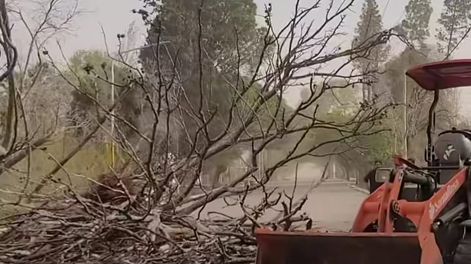 Consecuencias del temporal en la zona Este