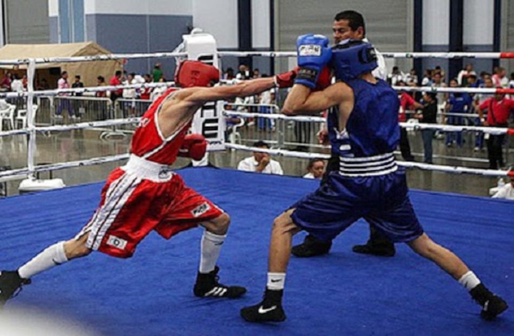 La Federación Argentina de Box  presentó un protocolo para el regreso a la actividad