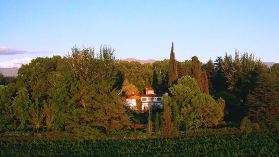 Vista aérea de la bodega de Drummond que ya es propiedad de Trivento. / archivo