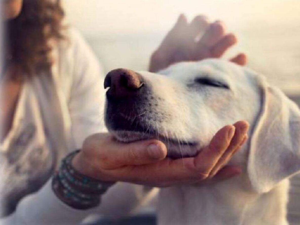 El deseo y el miedo - Por Rosa Montero