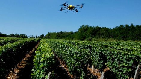 El INTA realiza jornadas sobre aplicación de tecnologías satelitales en la vitivinicultura