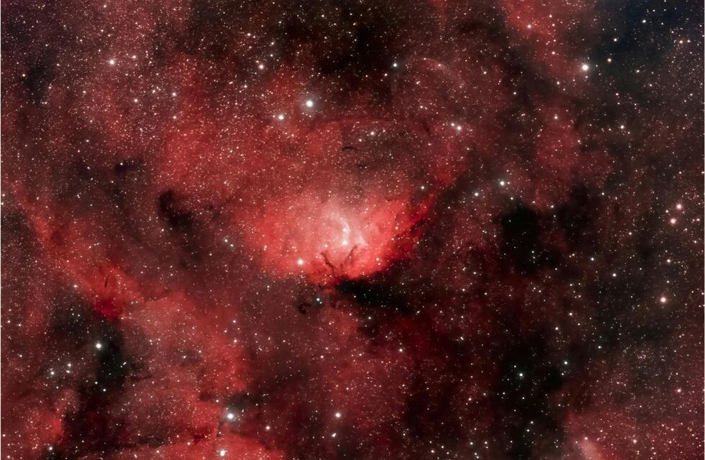 Piscis, estos son tus números de la suerte para hoy