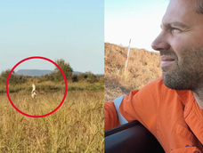 un trabajador queda impactado al encontrarse con una de las aves terrestres mas grandes en plena ruta