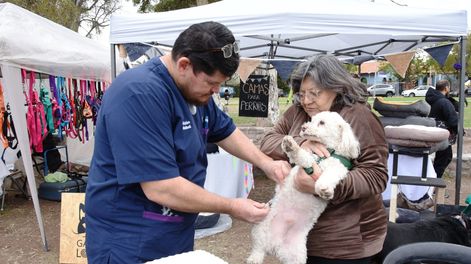 Gran fiesta para nuestros amigos de cuatro patas: jornada gratuita de salud animal en Guaymallén