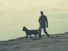 Mortero, el perro argentino que fue soldado prisionero en la Guerra de Malvinas. Mortero, el perro argentino que fue soldado prisionero en la Guerra de Malvinas.