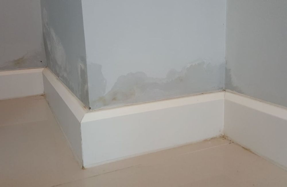 Barreras hidrófugas: lo que mata es la humedad