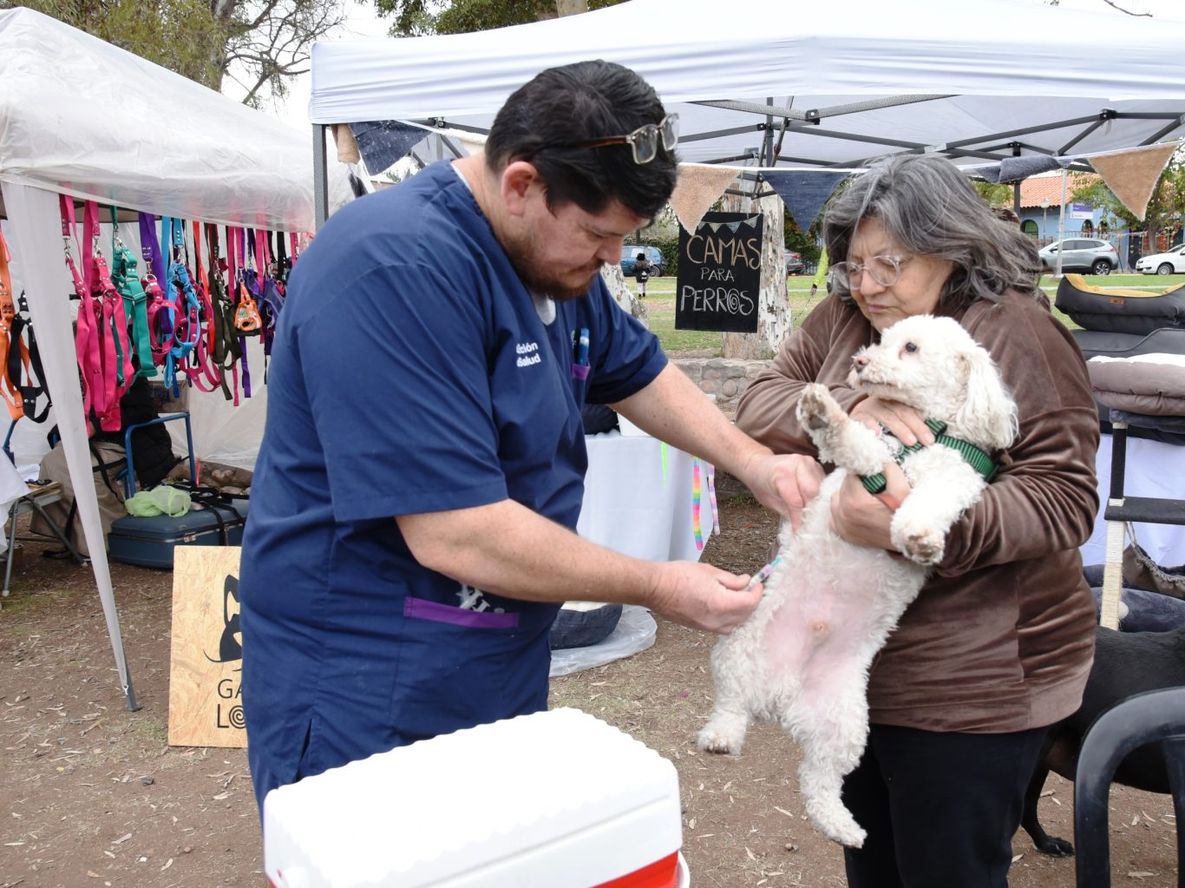 Gran fiesta para nuestros amigos de cuatro patas: jornada gratuita de salud animal en Guaymallén