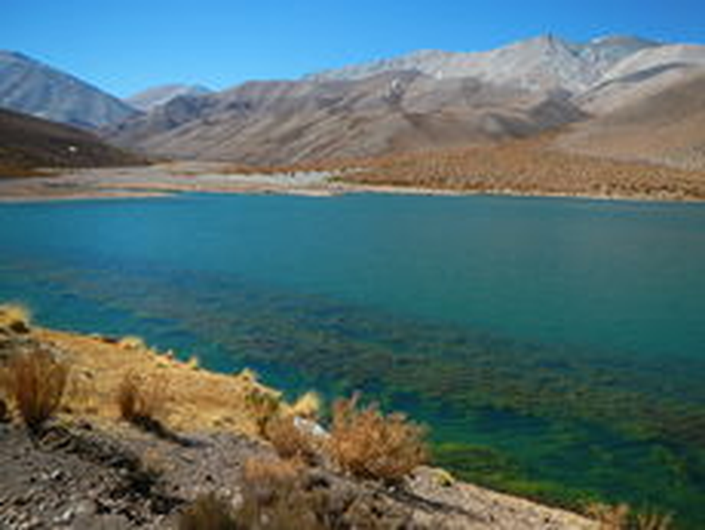 Laguna Grande, Atacama.