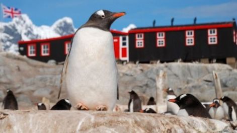 Es sólo por la temporada, que dura cinco meses. (Instagram: @ukantarcticheritagetrust)