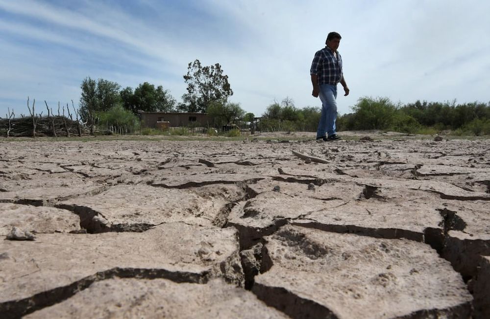 Puesteros viven en los solitarios parajes rodeados de desierto. La sequia en Lavalle y problemas con ganados caprino aumentan con las temperaturas del verano . Orlando Pelichotti / Los Andes