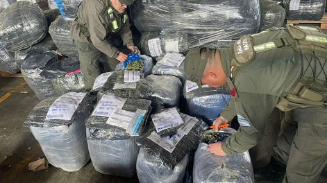 Las hojas de coca decomisadas en Godoy Cruz. Gentileza Gendarmería Nacional.