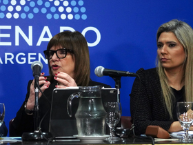 El oficialismo enfrenta un nuevo escenario en el Senado: sus aliados reclaman avanzar con la reforma electoral.