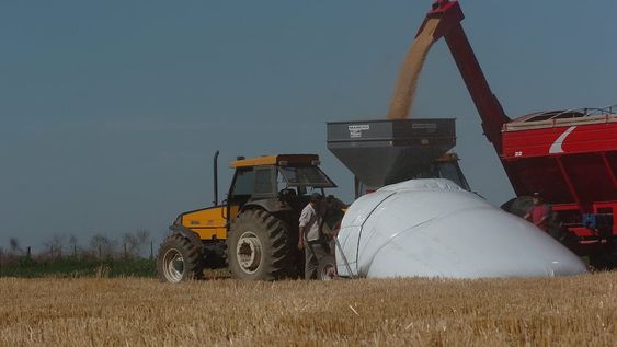 Las retenciones sobre las exportaciones hay tipos de cambio diferenciales por sector. Los derechos de exportación van del 33% que pagan la soja hasta el 0% para sectores como los servicios o las microexportadoras. (Tomy Fragueiro/Archivo)