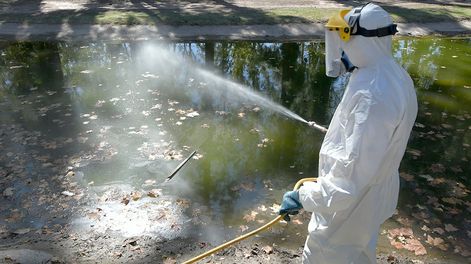 Los Andes | Los casos de dengue crecieron 70% en 6 días en Mendoza y muchos tienen el virus pero no lo sabenPersonal de Zoonosis de Guaymallén desinfectando para evitar la propagación del mosquito Dengue  en el lago de Bandera de los Andes y UrquizaEl dengue, es un