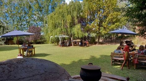 Disfrutá de un almuerzo maridado con los mejores vinos, en Corteza del Aguaribay