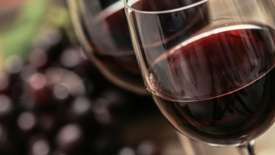 Un francés en Argentina. El varietal nació en Europa y en el Siglo XIX llegó a Sudamérica.