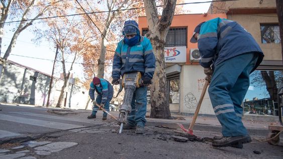 Avanzan los trabajos de bacheo, arbolado y desinfección en la Ciudad