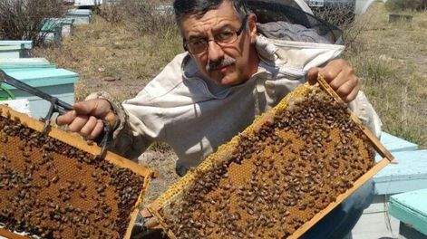 Productor apícola del Valle de Uco.