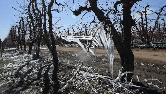 Se eseperan heladas para los próximos días en Mendoza. - Claudio Gutiérrez / Los Andes
