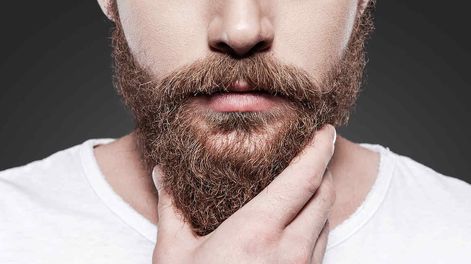 La barba - por Jorge Sosa