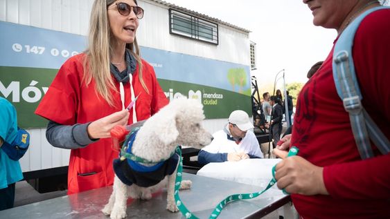Atención: estos serán los puntos de atención del Móvil Veterinario de Ciudad durante el mes de julio